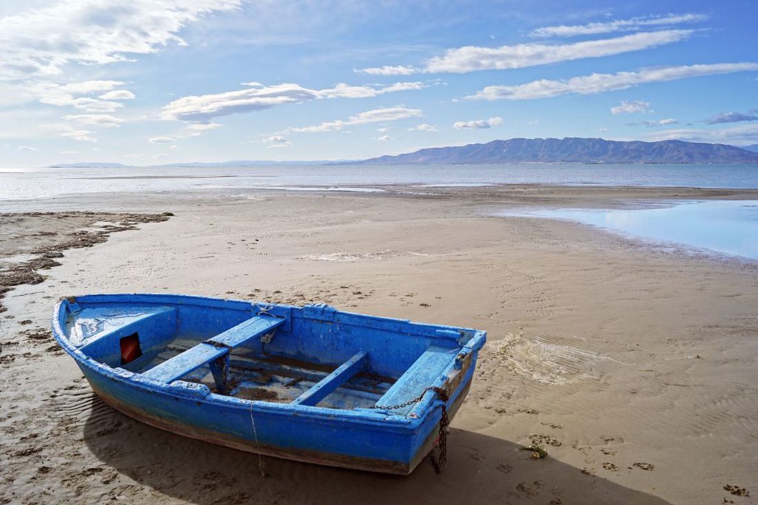 Delta del Ebro en un día