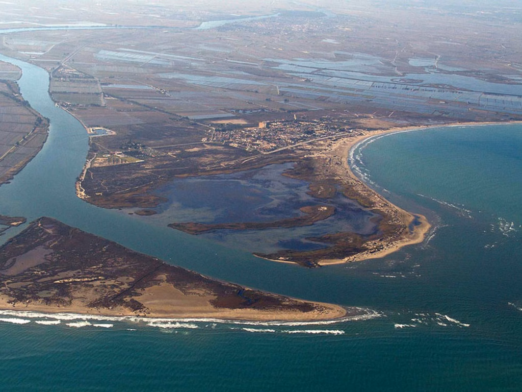 que veure al delta de l'ebre